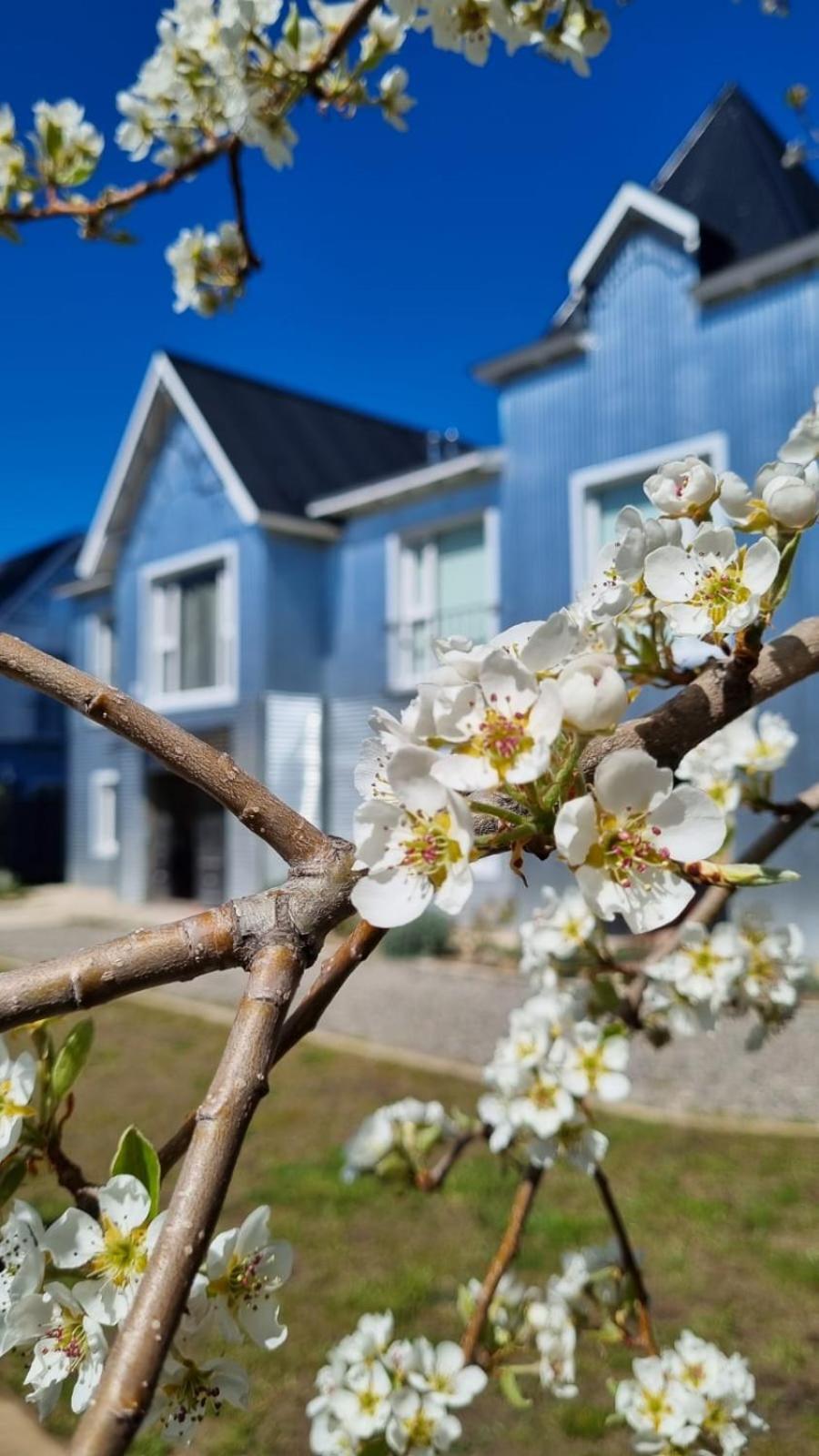 Hol Gok Patagonia Apartment Esquel Exterior photo